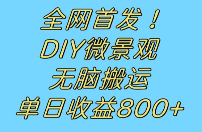 全网首发冷门赛道！DIY微景观，无脑搬运视频，日收益800+【揭秘】