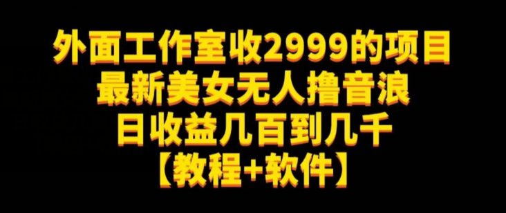 外面工作室收2999的项目最新美女无人撸音浪日收益几百到几千【教程+软件】（仅揭秘）