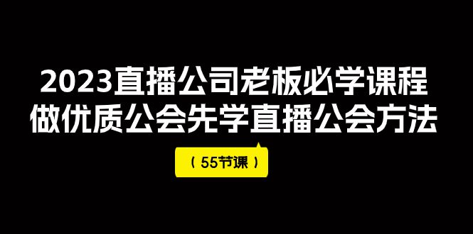 （7738期）2023直播公司老板必学课程，做优质公会先学直播公会方法（55节课）