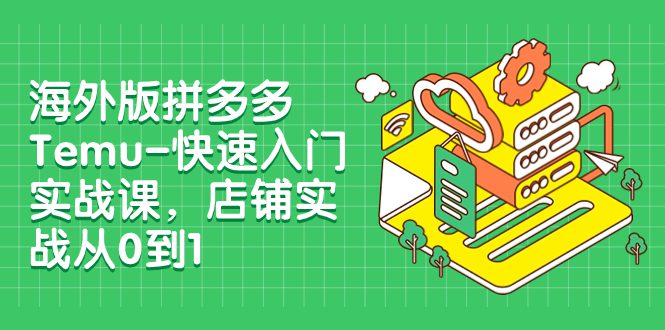 （7876期）海外版拼多多Temu-快速入门实战课，店铺实战从0到1（12节课）