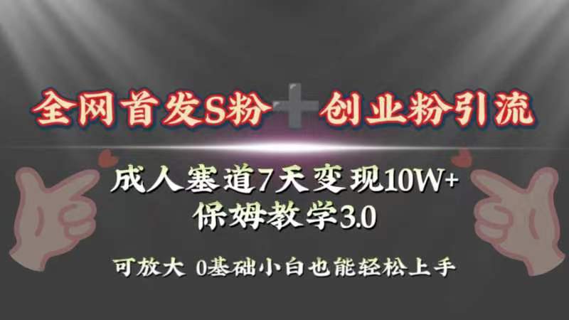 （8337期）全网首发s粉加创业粉引流变现，成人用品赛道7天变现10w+保姆教学3.0