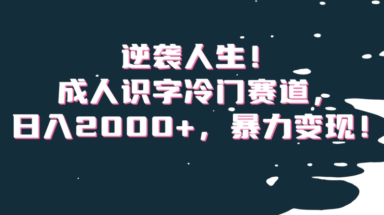 逆袭人生！成人识字冷门赛道，日入2000+，暴力变现！【揭秘】