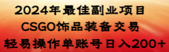 （8941期）2024年最佳副业项目 CSGO饰品装备交易 轻易操作单账号日入200+