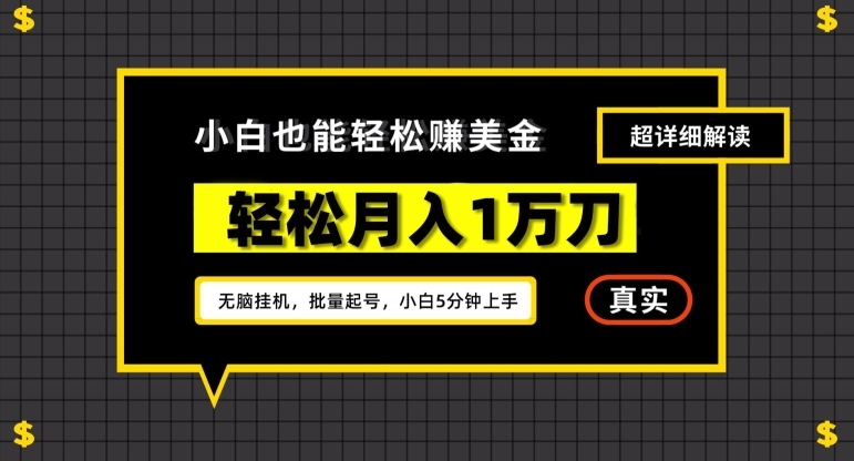 谷歌看广告撸美金2.0，无脑挂机，多号操作，月入1万刀