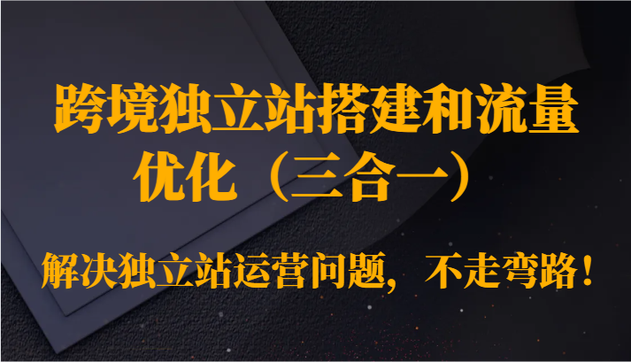 跨境独立站搭建和流量优化（三合一）解决独立站运营问题，不走弯路！