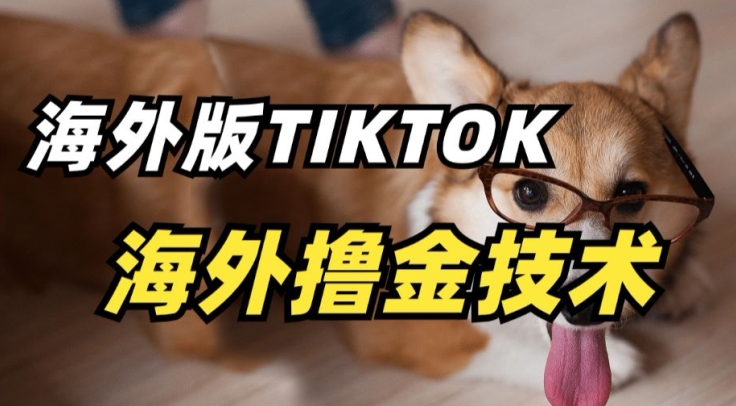 抖音海外版tiktok撸金技术，这个风口行业，赚钱真的不难