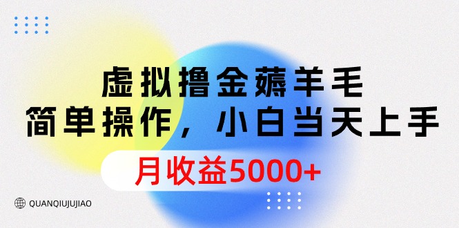 （9864期）虚拟撸金薅羊毛，简单操作，小白当天上手，月收益5000+