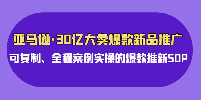 （9944期）亚马逊30亿·大卖爆款新品推广，可复制、全程案例实操的爆款推新SOP