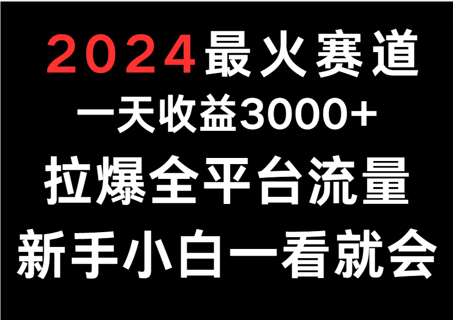 2024最火赛道，一天收一3000+.拉爆全平台流量，新手小白一看就会