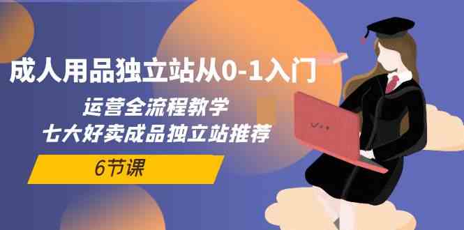 成人用品独立站从0-1入门，运营全流程教学，七大好卖成品独立站推荐（6节课）