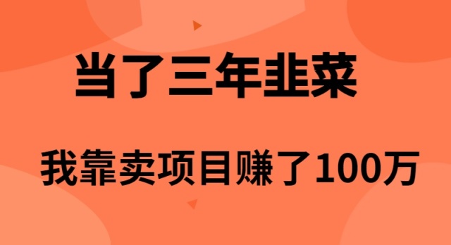 （10149期）当了3年韭菜，我靠卖项目赚了100万