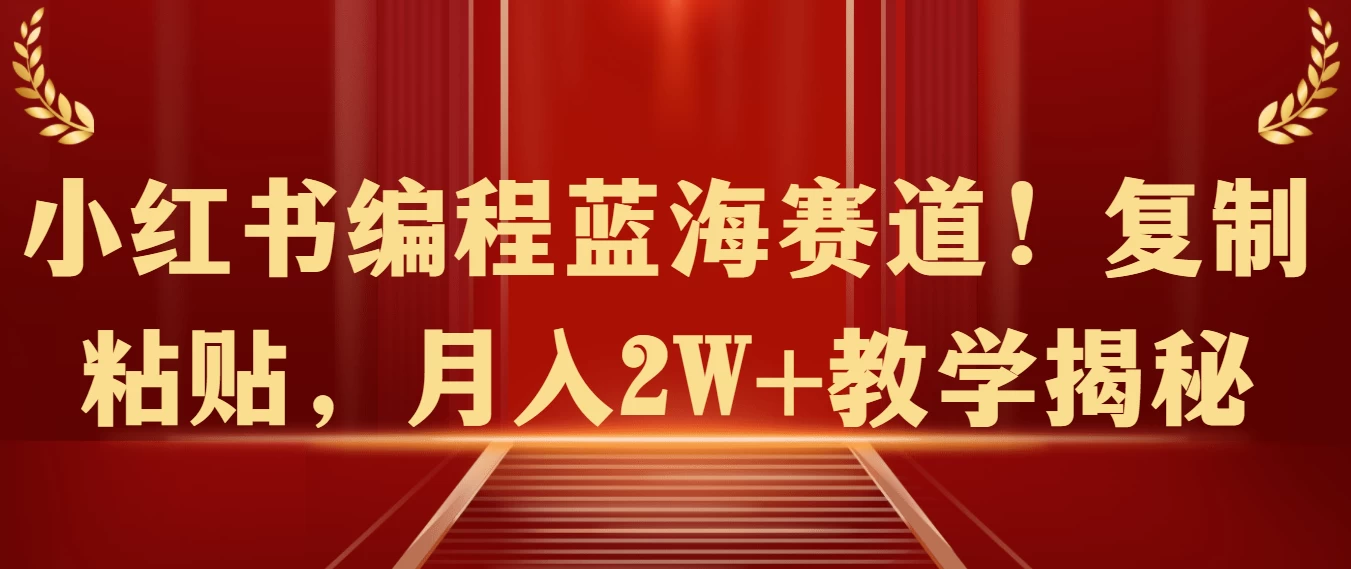 小红书编程蓝海赛道！复制粘贴，月入2W+教学揭秘