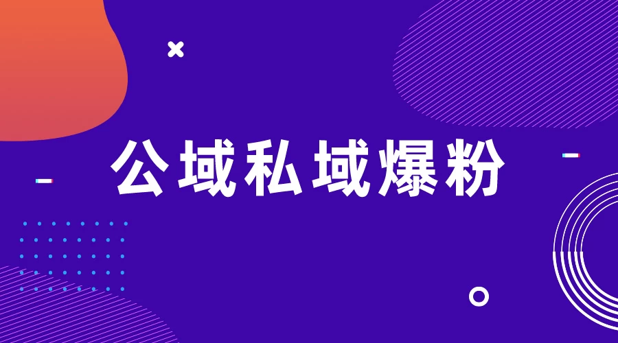 项目拆解视频制作教程从零到一，公域私域爆粉