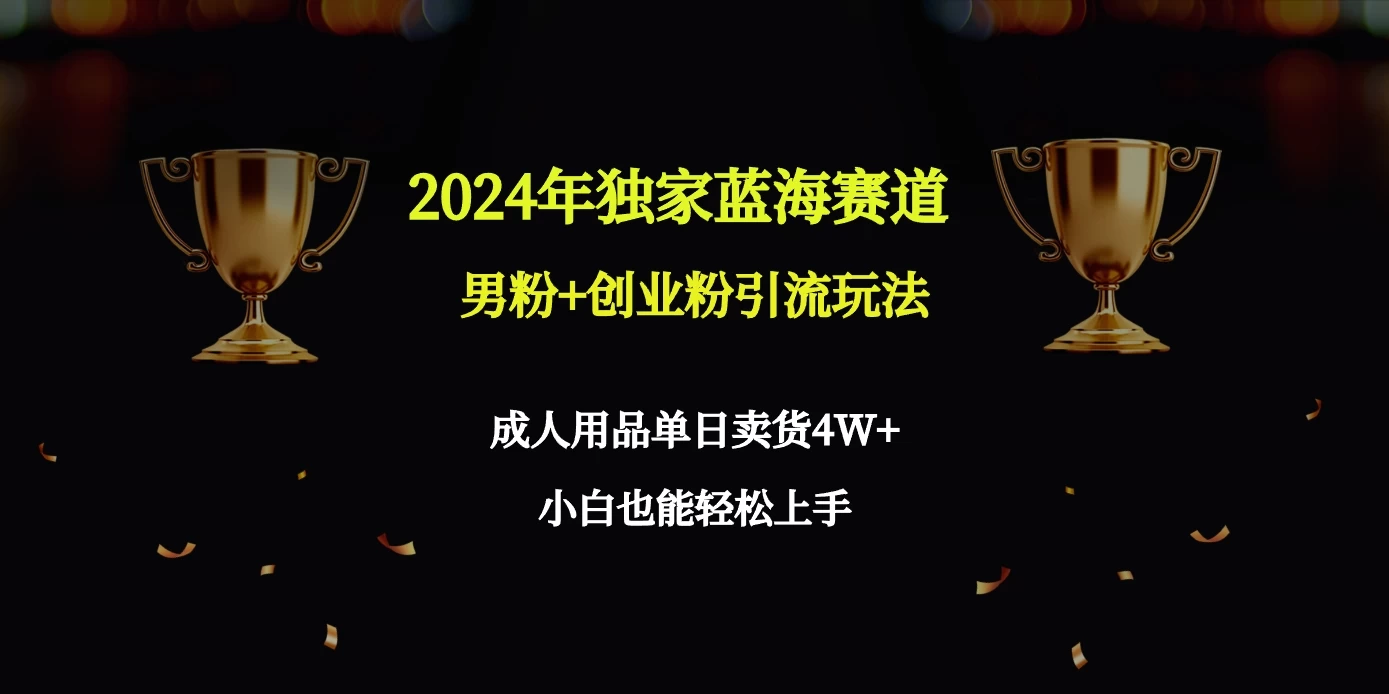 2024独家蓝海赛道，男粉＋创业粉引流玩法。