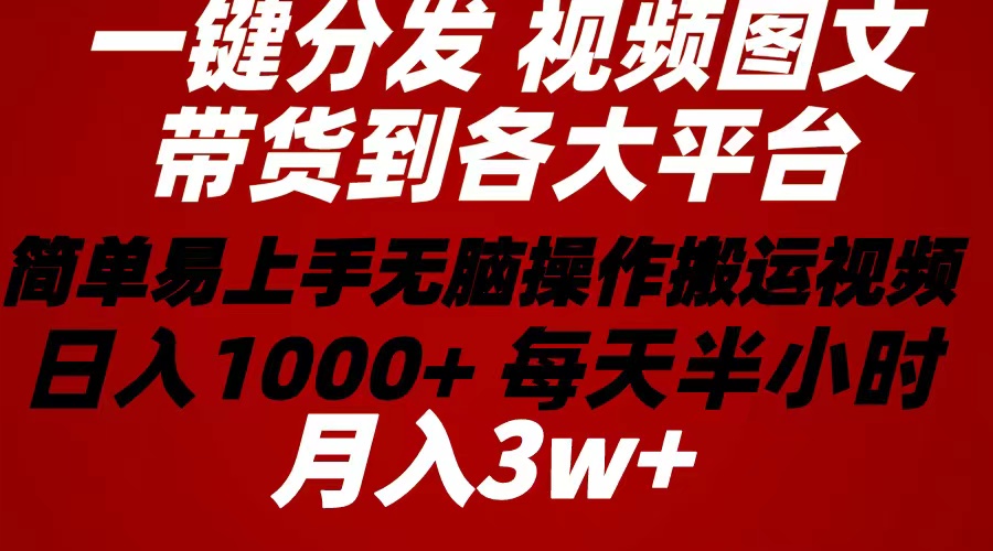 （10667期）2024年 一键分发带货图文视频  简单易上手 无脑赚收益 每天半小时日入1…