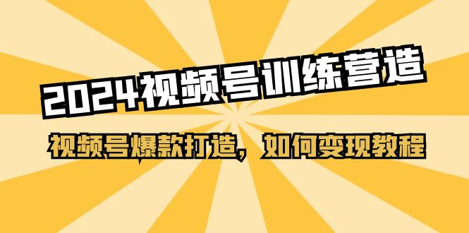 2024视频号训练营，视频号爆款打造，如何变现教程（20节课）-巴叔叔创业网