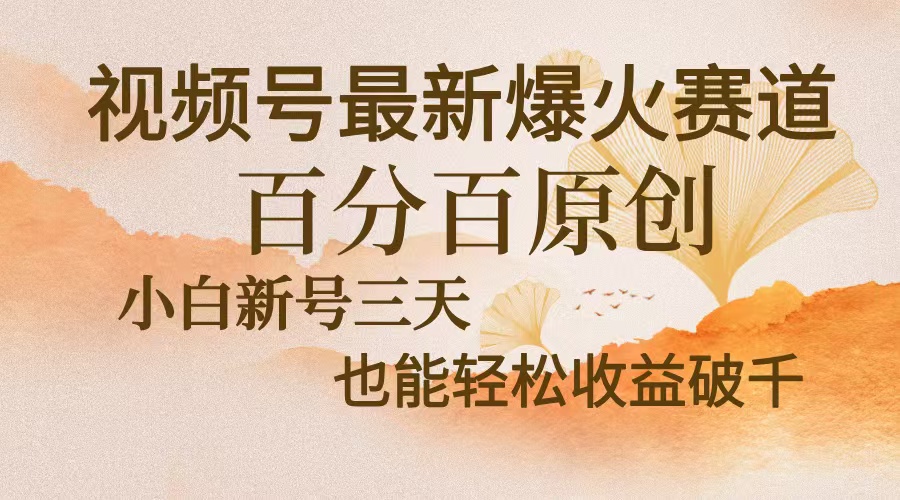 （13225期）视频号最新爆火赛道，中老年粉深信不疑，百分百原创，新号三天收益轻松…