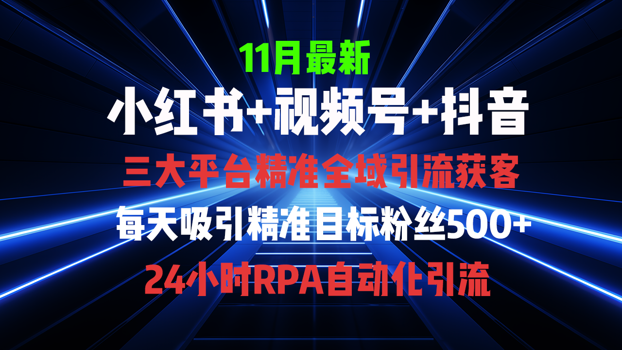 （13259期）全域多平台引流私域打法，小红书，视频号，抖音全自动获客，截流自…