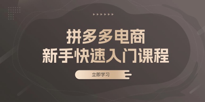 （13289期）拼多多电商新手快速入门课程：涵盖基础、实战与选款，助力小白轻松上手-牛角知识库